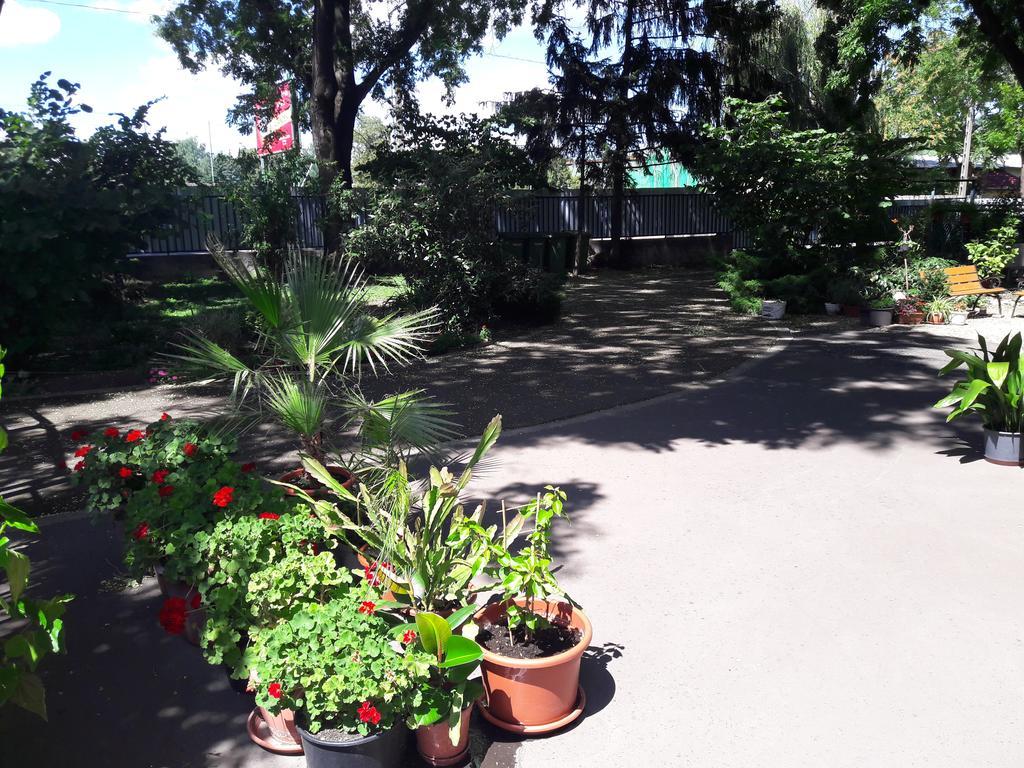 Orchidea Apartman Eğri Dış mekan fotoğraf